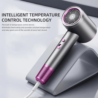 JetSpeed Hair Dryer